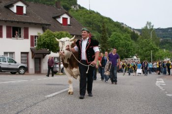 SO Kant. Schwingfest Solothurn