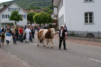 SO Kant. Schwingfest Solothurn