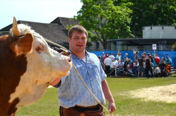 SO Kant. Schwingfest Solothurn