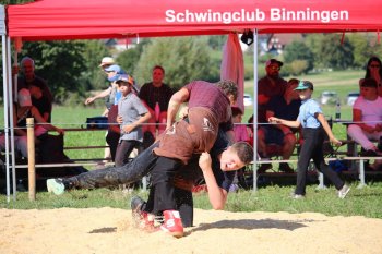 Schorenschwinget