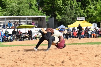 BS Kant. Schwingfest