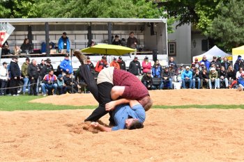 BS Kant. Schwingfest